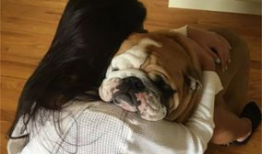 狗日女人视频,揭示人性阴暗面的惊悚之作