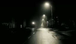 唯美视频,唯美视频中的诗意画卷