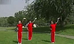 武术操视频,传统武术与现代健身的完美融合